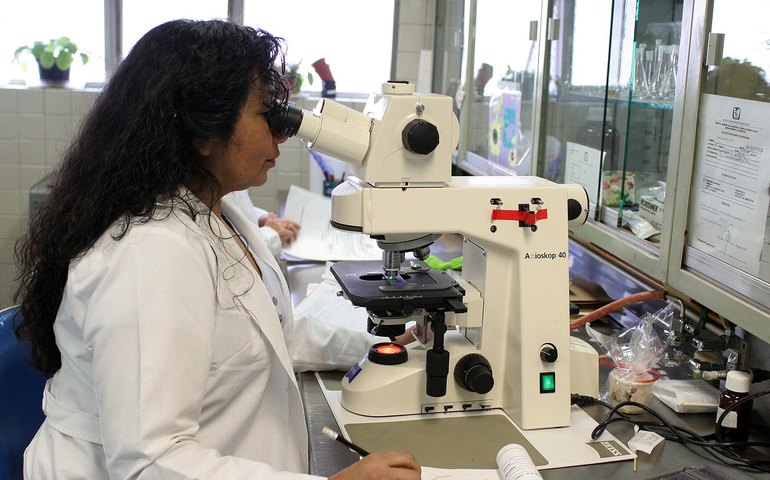 Prêmio para diminuir desigualdade na ciência oferece bolsas de R$ 50 mil para mulheres cientistas