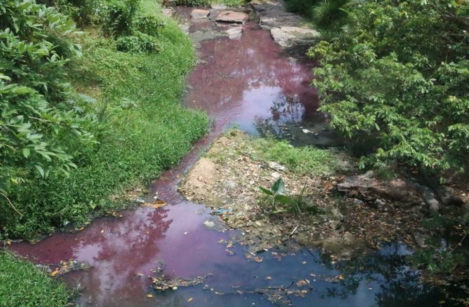 Corpo é encontrado enterrado em cova rasa às margens do Rio Piauitinga no Sul Sergipano