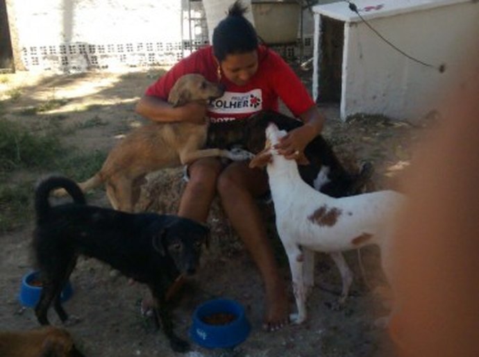 CCZ acolhe animais encontrados em reintegração de posse