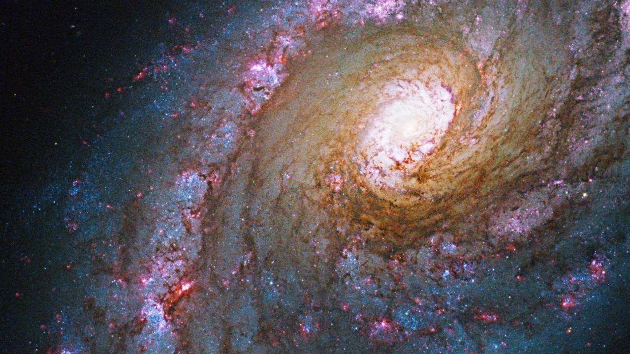 Buraco branco pode ser uma solução matemática para o Big Bang, explica astrofísico