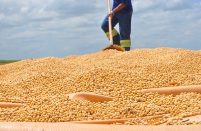 Alagoas terá mais de mil hectares plantados com soja em 2018