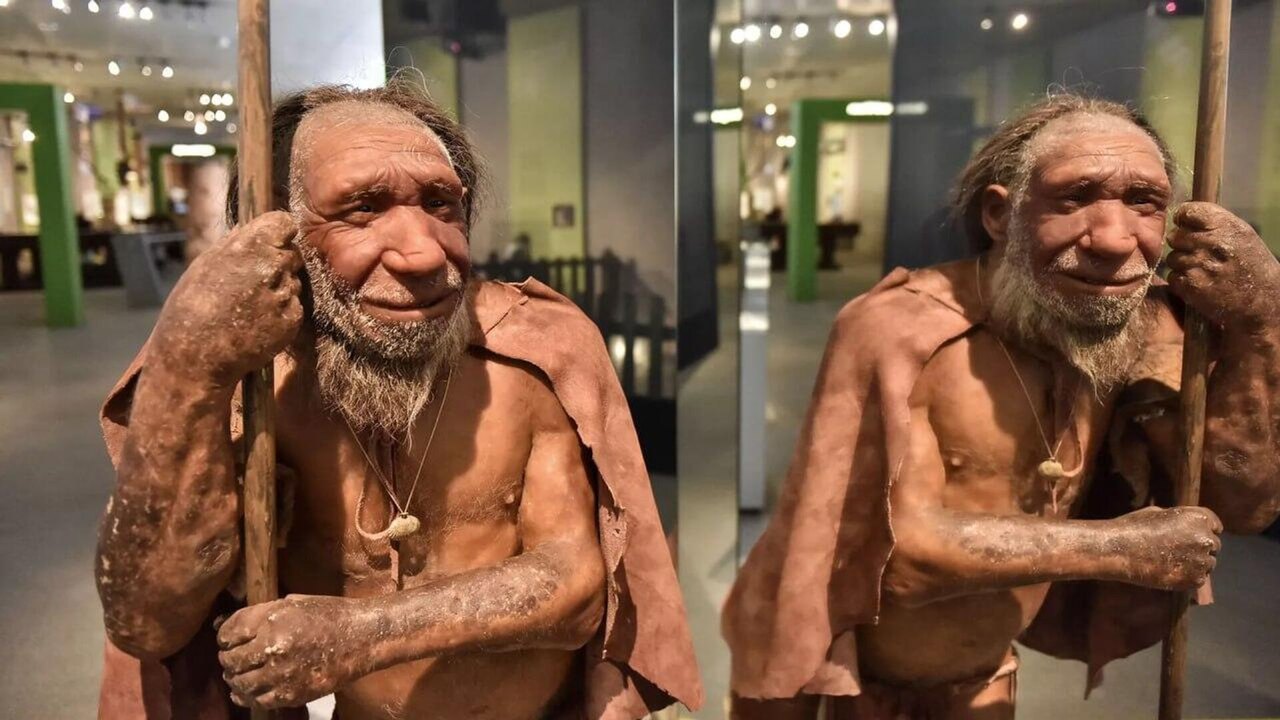 🪵 Desenterram na China ferramentas de madeira de 300 mil anos