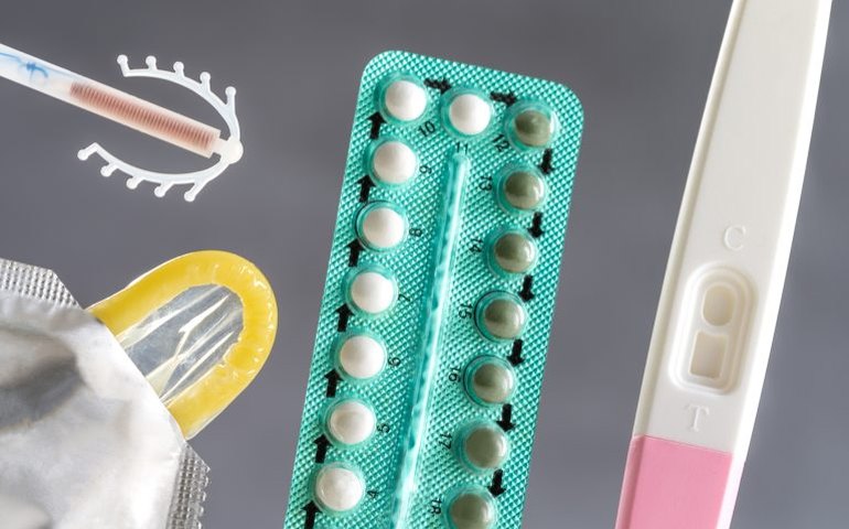 Comissão da Câmara celebra Dia Internacional da Contracepção