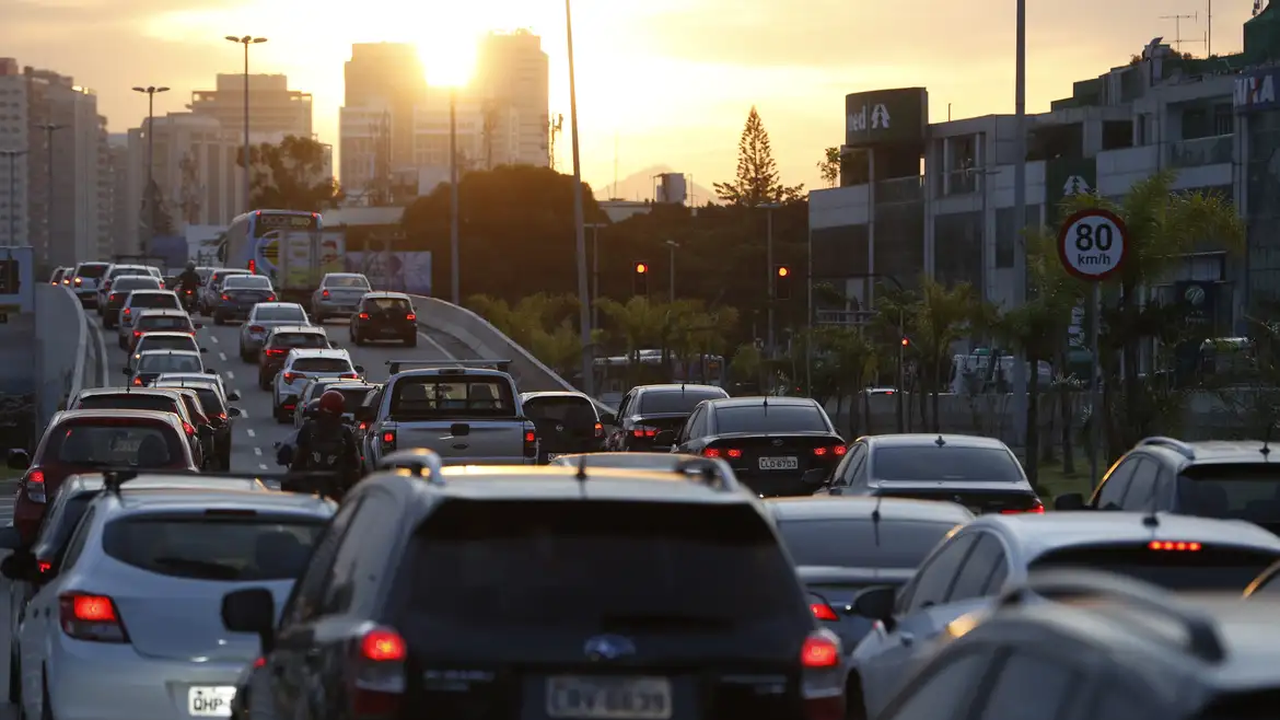 Carneiros congestionam trânsito no Daguestão