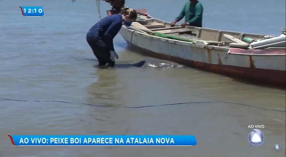 PEIXE BOI TINGA