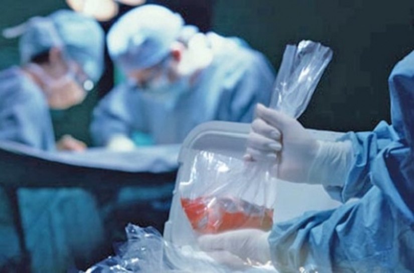 Doação de órgãos: um ato de respeito, solidariedade e amor