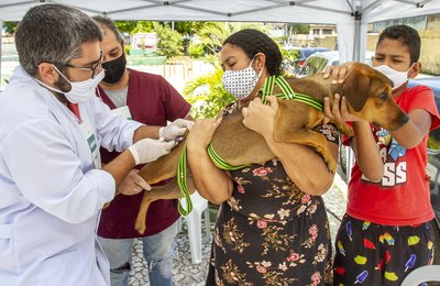 Programa de Acolhimento de Animais vacina 150 cães em Bebedouro