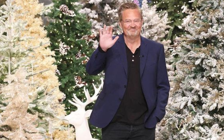 Conheça Alfred, cachorro de Matthew Perry que pode ser adotado por Lisa Kudrow