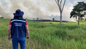 agentes de fiscalização ambiental.