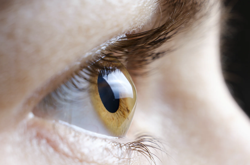 Projeto que institui campanha de conscientização sobre ceratocone é aprovada em 2º turno, na ALE