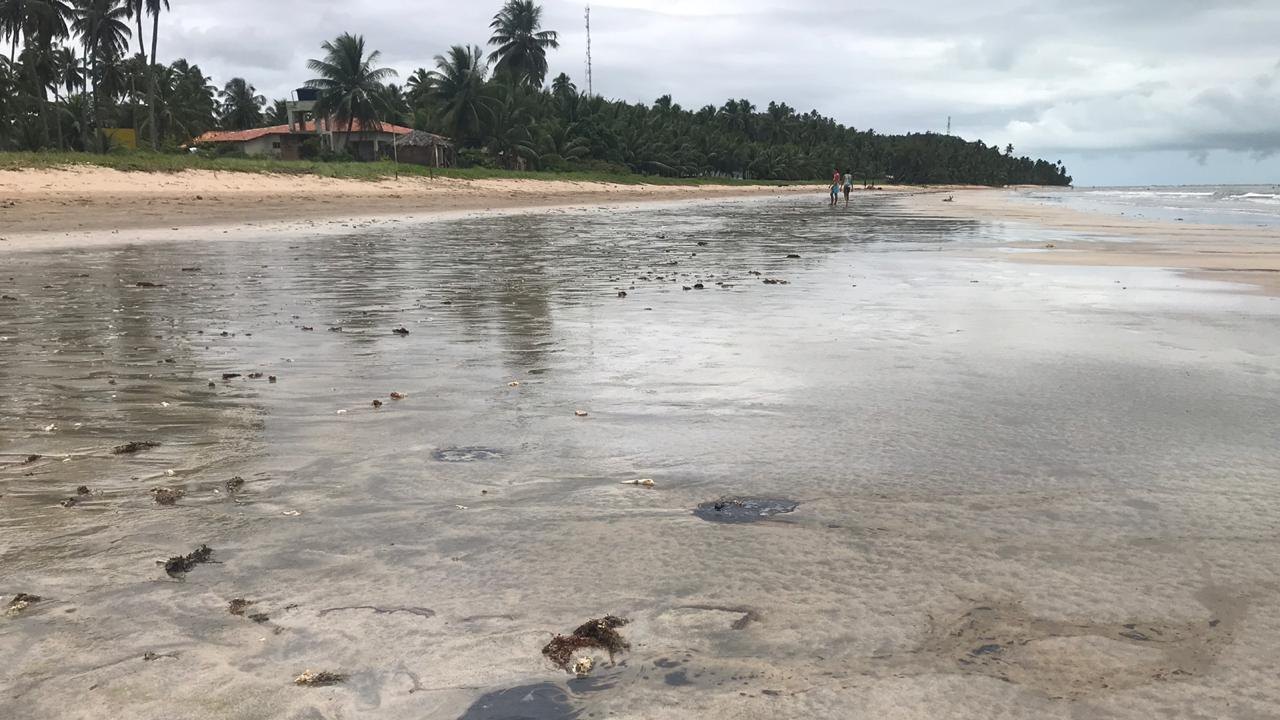 Presidente do TRF5 mantém medidas e prazos sobre contenção do óleo nas praias de Alagoas e reconhece acordo feito em Pernambuco