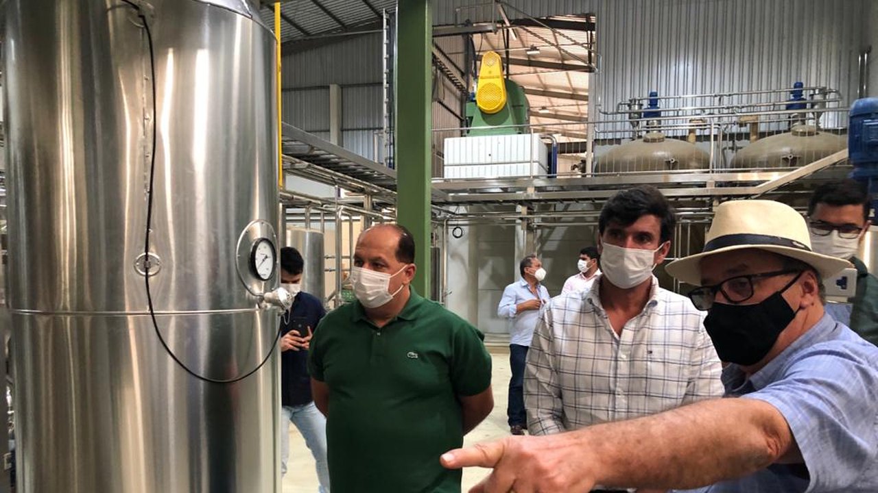 Indústria de beneficiamento de mandioca vai gerar empregos em Teotônio Vilela