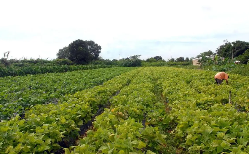 Governo regulamenta transferência de terras de bancos e empresas públicas para reforma agrária