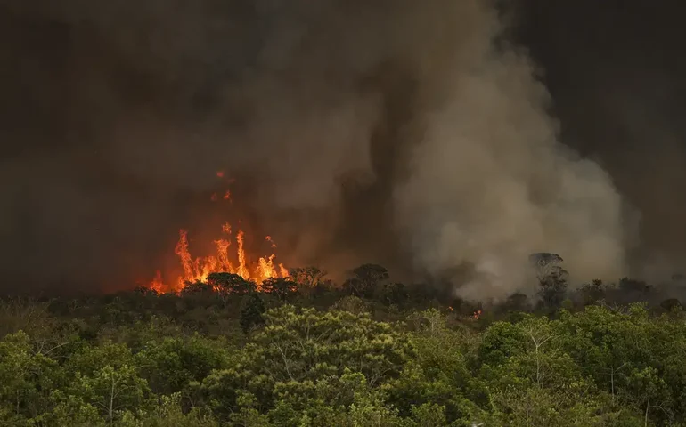 Unidades de conservação do RJ são reabertas após queda nos incêndios 