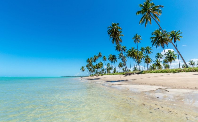 Com novas estradas e hotéis, Alagoas ganha novo polo de desenvolvimento para o turismo