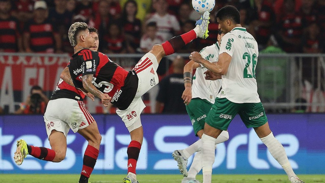 CBF marca 'final' do Brasileirão entre Palmeiras x Flamengo para 21 de novembro