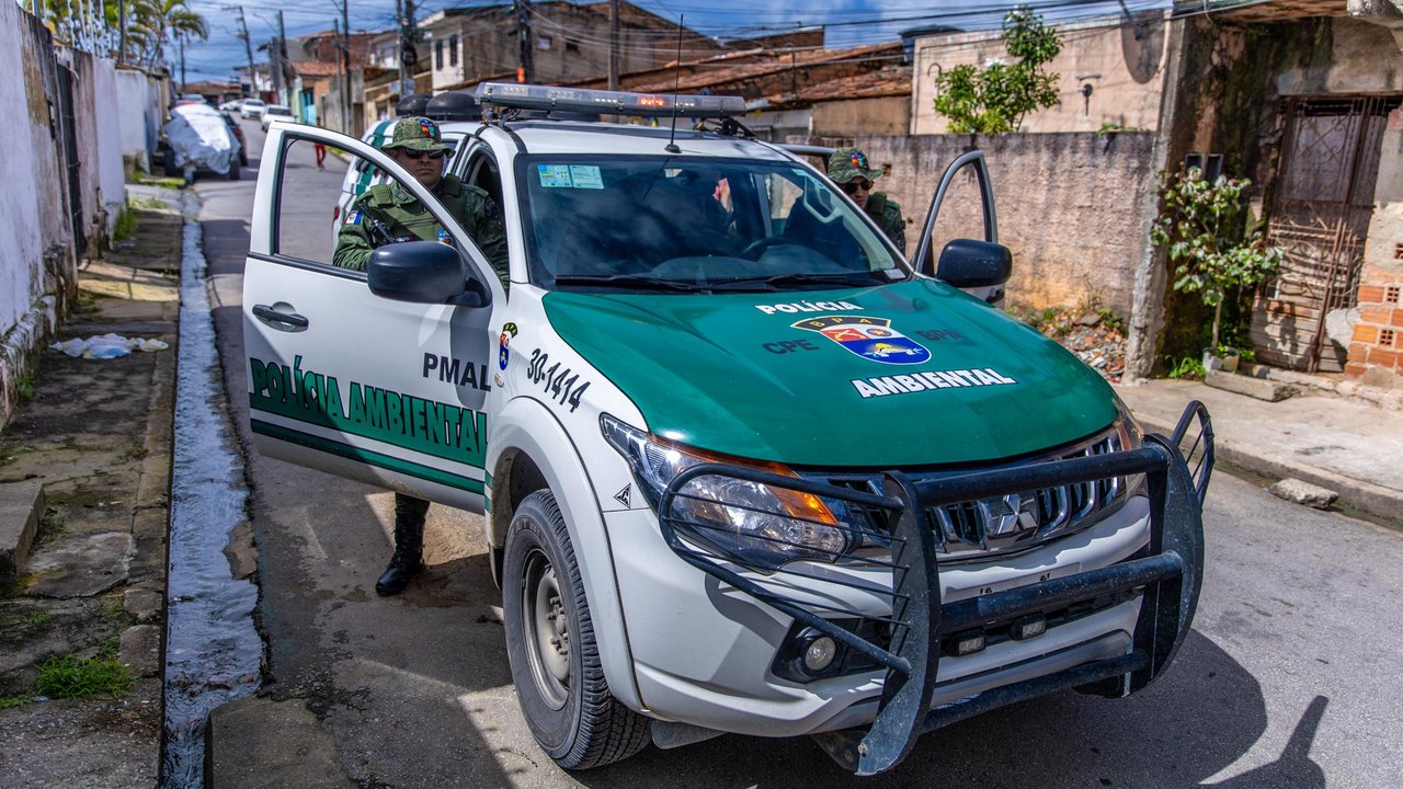 PM resgata animais silvestres em áreas urbanas de Maceió e reforça orientações à população