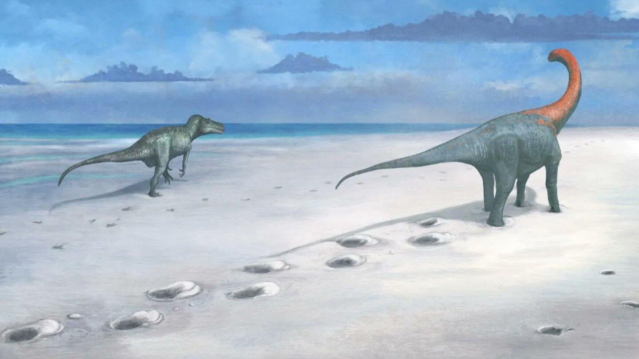 Paleontólogos descobrem no Uruguai nova espécie de titanossauro que viveu há 80 milhões de anos (FOTOS)