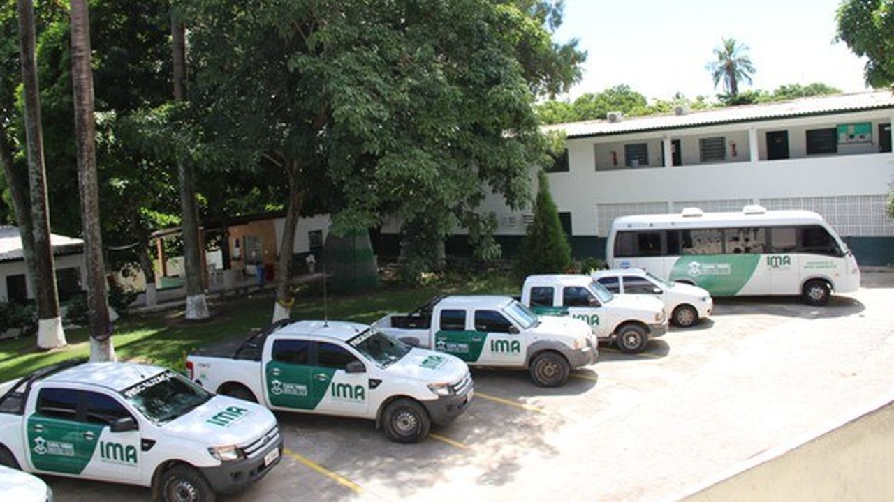 Instituto do Meio Ambiente moderniza frota de automóveis