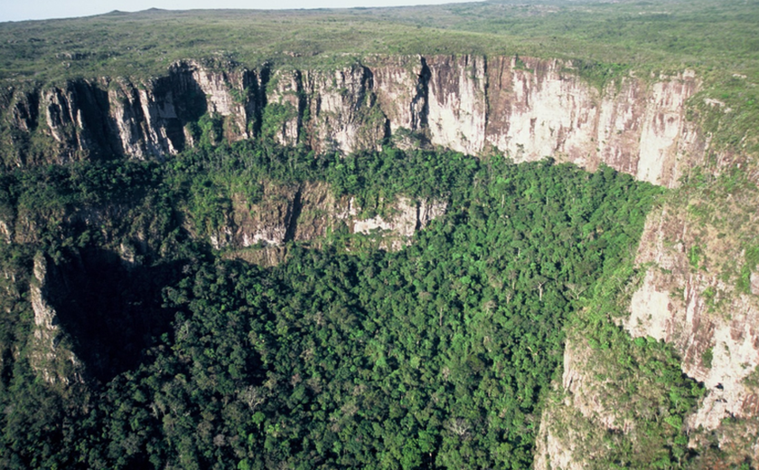 Festival Povos da Floresta celebra saberes dos territórios amazônicos