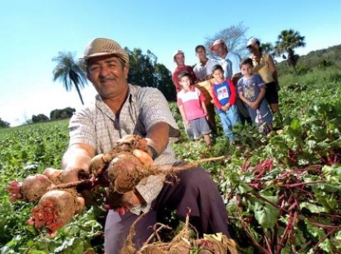 Emater projeta desenvolvimento do turismo rural em Alagoas