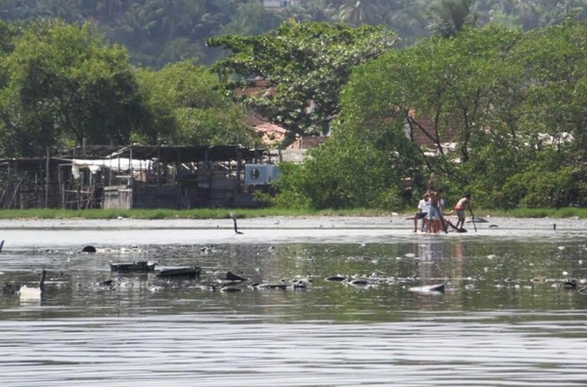 IMA apoia estudo sobre impactos ambientais na APA de Santa Rita