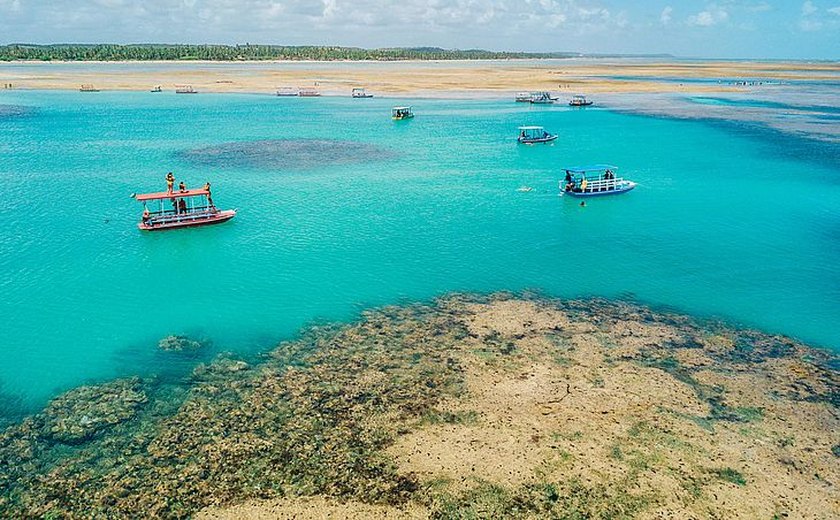 Praia de AL está pré-selecionada para renovar a certificação internacional do Selo Bandeira Azul