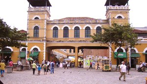 mercfloripa.jpg