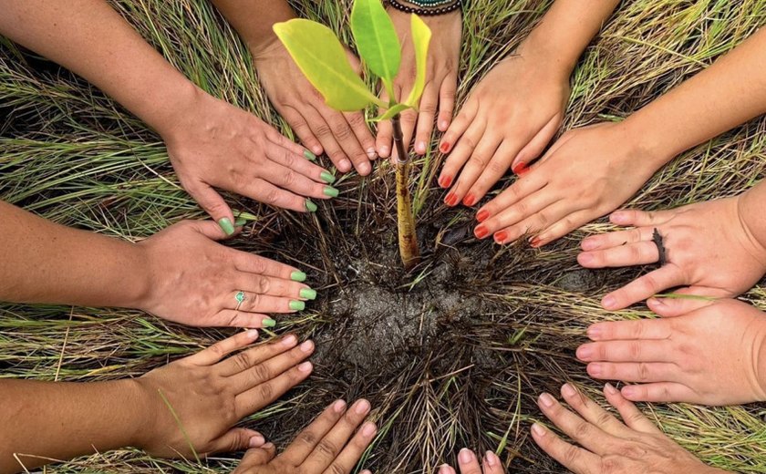 Com arborização, Prefeitura faz de Maceió uma cidade mais sustentável