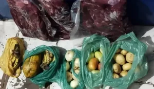 Mercados públicos e feiras livres de Maceió terão horários especiais no Natal