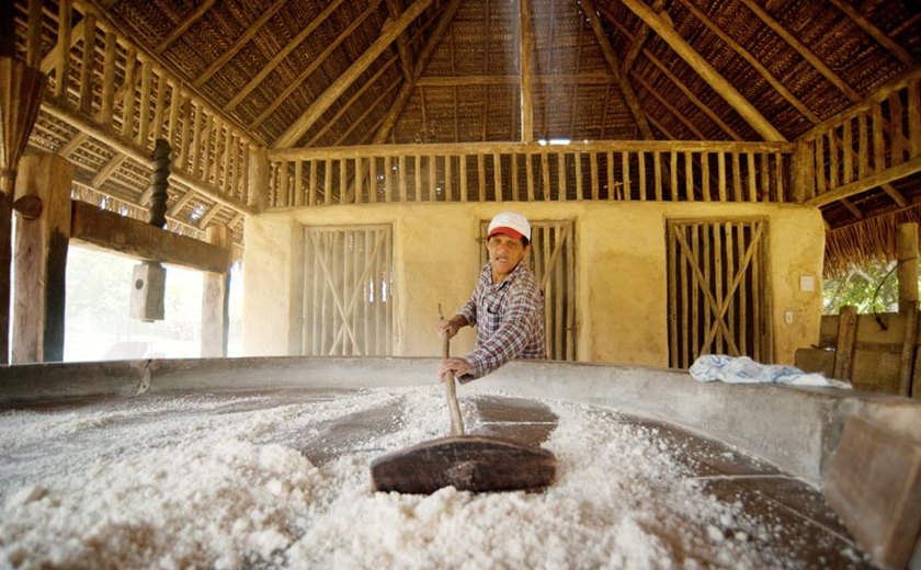Farinha de mandioca é atração em roteiro rural