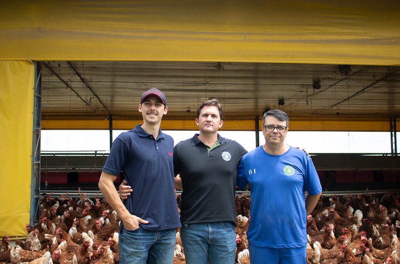 Inteligência Artificial conta 140 mil ovos por dia com 99,9% de precisão e transforma avicultura