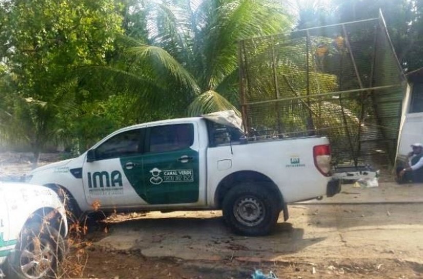 Animais silvestres são encontrados em cativeiro em Porto de Pedras