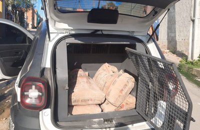 Polícia Civil prende homens que furtavam cimento na Barra de São Miguel