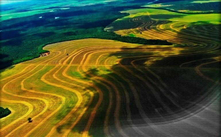 Simpósio discute Fórum de reestruturação econômica do Semiárido nesta sexta-feira