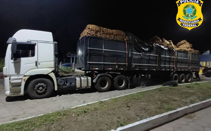 PRF apreende 27 toneladas de tabaco in natura em Teotônio Vilela, no interior de Alagoas