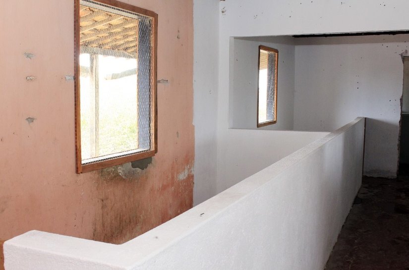 Pão de Açúcar: Abrigo de Animais Municipal é promessa para combate ao calazar