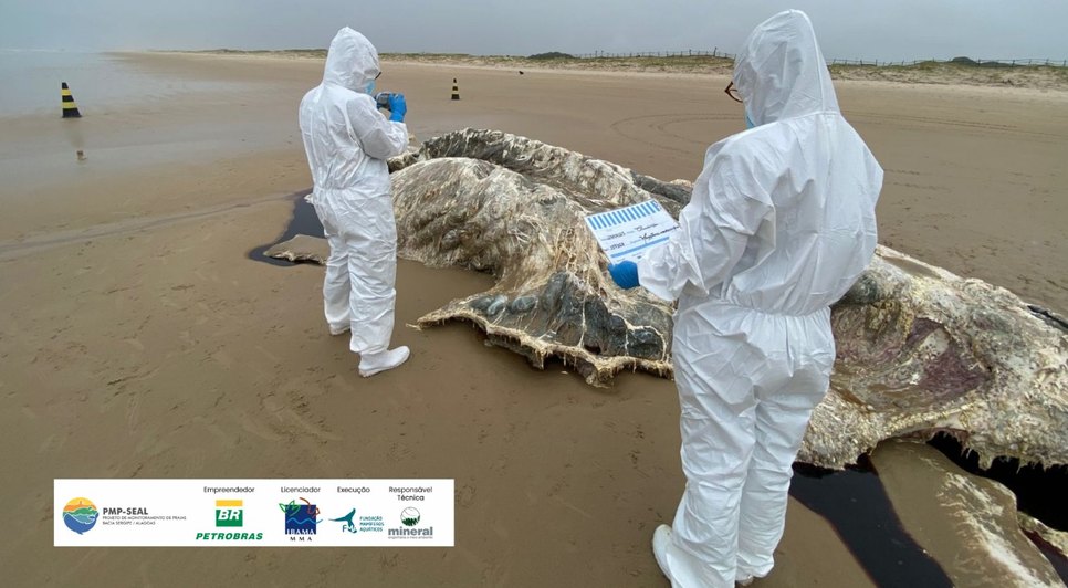 WhatsApp Image 2025-07-24 at 12.29.39 / Foto: Foto: Divulgação