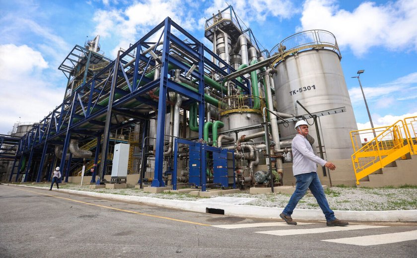 Secretaria da Agricultura de SP reativa Câmara Setorial de Açúcar, Etanol e Bioenergia