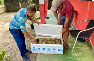 Agricultores de Penedo doam alimentos para desabrigados pelas chuvas