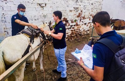 Prefeitura de Arapiraca regularizará carroceiros dos ecopontos e promoverá ações educativas