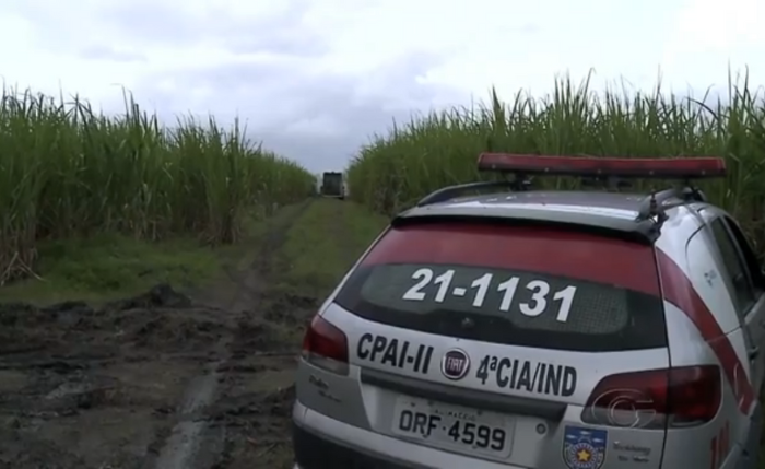 Corpos foram encontrados em um canavial, no Povoado Serrinha, no município de Capela Corpos foram encontrados em um canavial, no Povoado Serrinha, no município de Capela