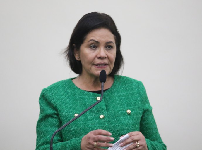 Deputada Rose Davino cobra união de Estado e municípios por melhorias na Saúde
