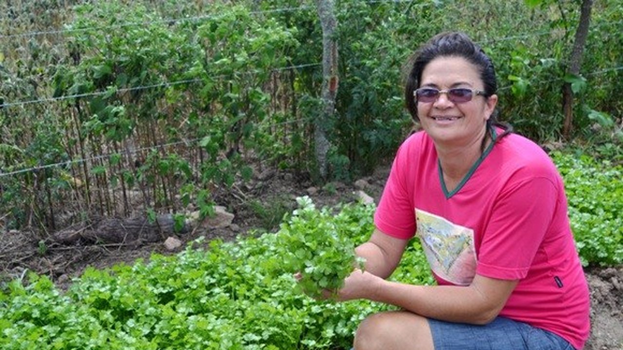 Mulheres sertanejas fortalecem a produção agroecológica da região