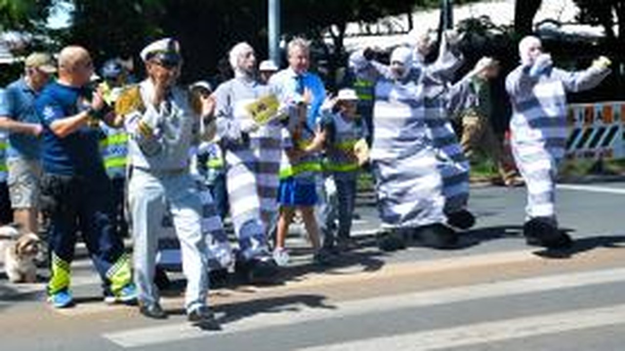 Brasília comemora 18 anos de implantação da faixa de pedestre