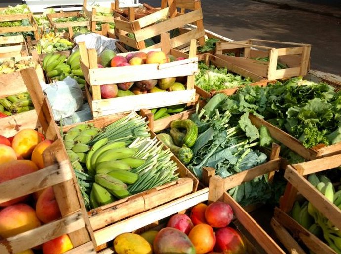 Municípios podem manifestar interesse no Programa de Aquisição de Alimentos até 20 de maio