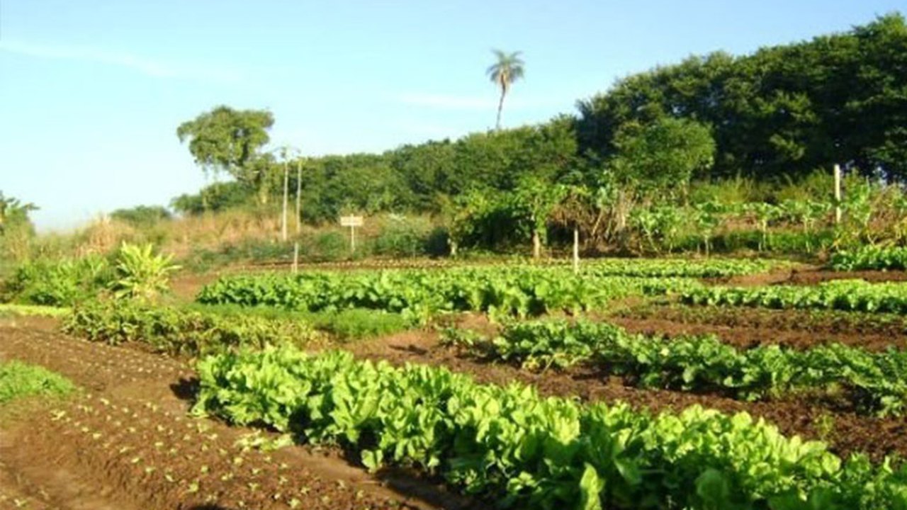 Produtores participam de inauguração de feira de agricultura em São Sebastião