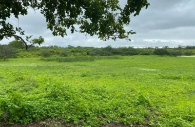  Fazenda de 780 tarefas será leiloada pela VT de Santana do Ipanema no dia 10/6