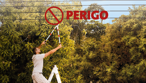 ÁRVORE PERIGO ENERGISA