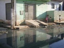 3bc03b6055a64e4b8431906f69f808d8_1.1 300x225